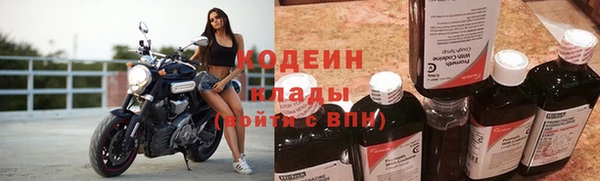 прущие грибы Переславль-Залесский