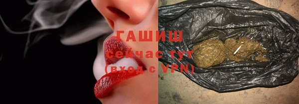 прущие грибы Переславль-Залесский