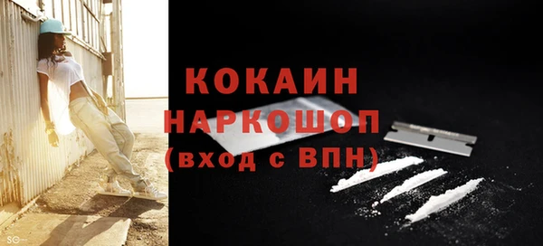 прущие грибы Переславль-Залесский