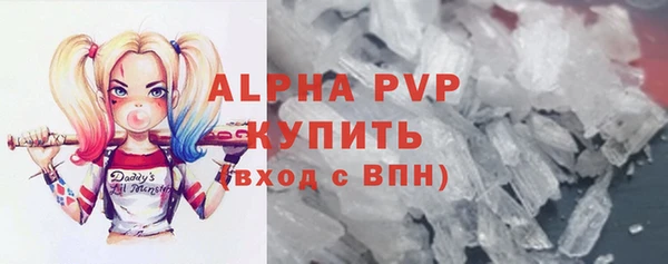 прущие грибы Переславль-Залесский