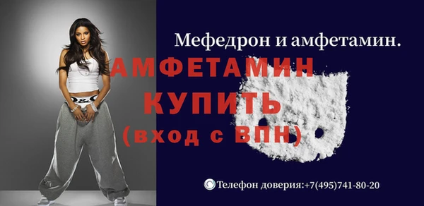 прущие грибы Переславль-Залесский