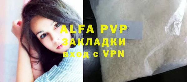 прущие грибы Переславль-Залесский