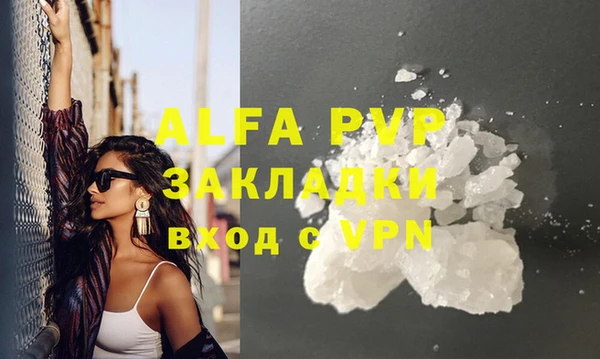 прущие грибы Переславль-Залесский