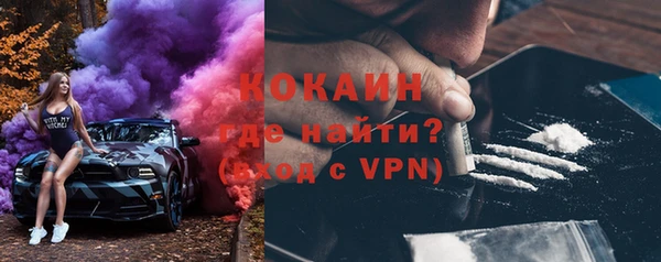 прущие грибы Переславль-Залесский