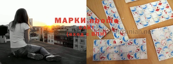 эйфоретик Покачи