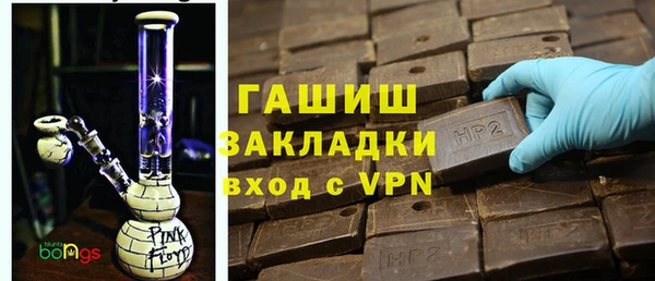 прущие грибы Переславль-Залесский