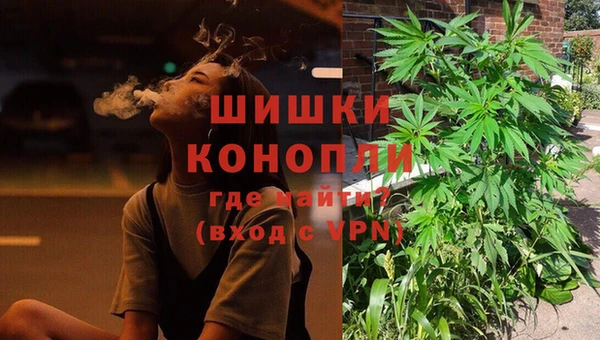 прущие грибы Переславль-Залесский